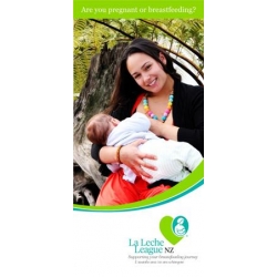 Are You Pregnant or Breastfeeding? brochure